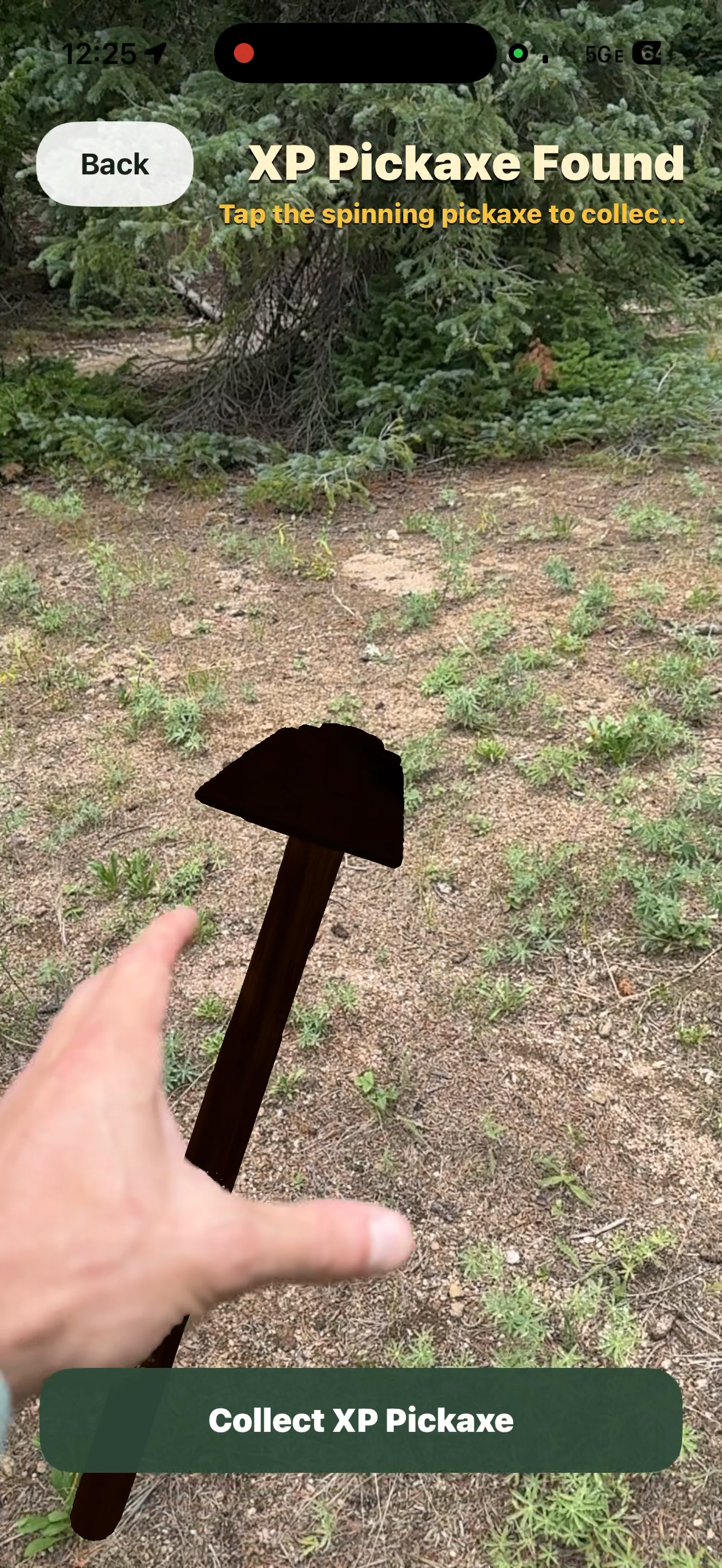 AR XP pickaxe collection screen